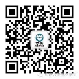 韦德·官方版入口